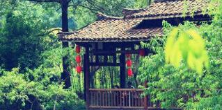 廣西廣投文化旅游公司梅以軍簡(jiǎn)歷，廣西廣投文旅和廣西投資集團(tuán)啥關(guān)系？