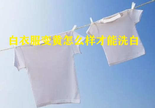 白衣服變黃怎么樣才能洗白（衣服發(fā)黃怎么洗白小妙招）